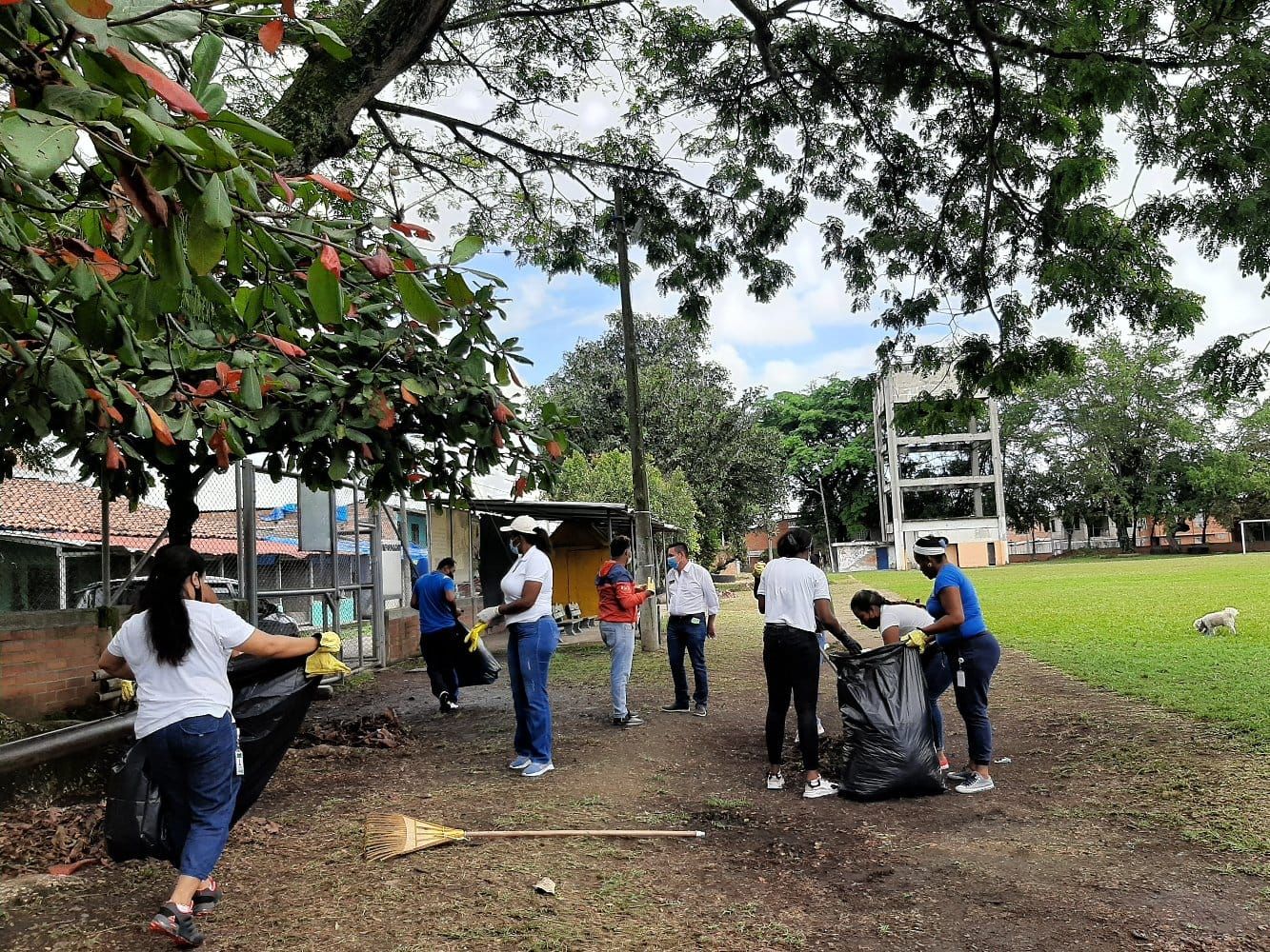 Imagen Poda de Árboles